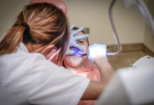The Differences Between A Dentist And A Dental