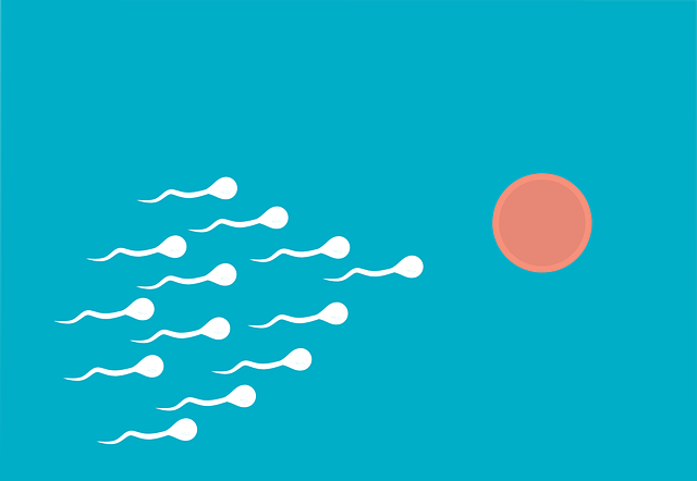 Improving Sperm Health Guide