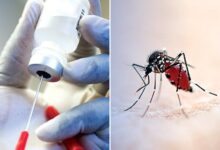 Malaria vaccine big advance against major child killer