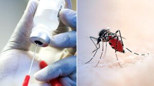 Malaria vaccine big advance against major child killer